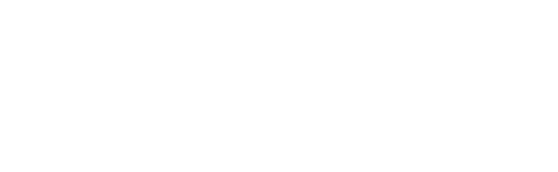 simBIOS